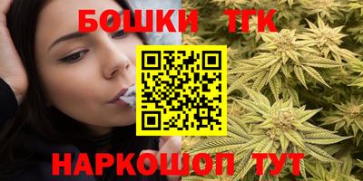индика Пенза