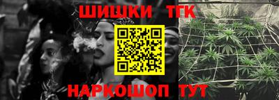 индика Пенза
