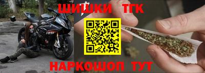 индика Пенза
