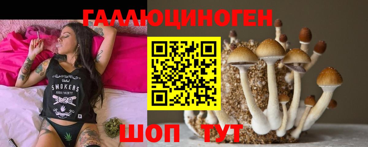 Рославль  Псилоцибиновые грибы прущие грибы  Вход с VPN 